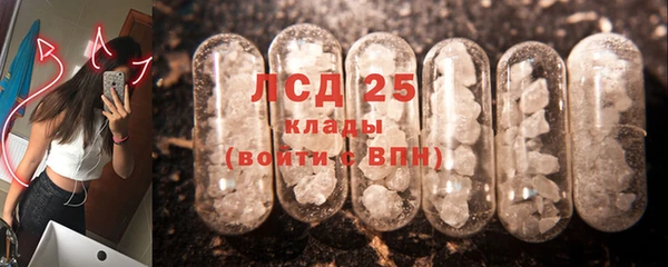 дживик Аркадак