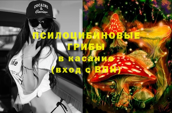 дживик Аркадак
